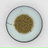 Cromosauri