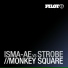 Imsa-Ae vs Strobe