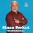 Sinan Serkut
