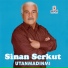 Sinan Serkut