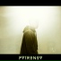 Pvtronov