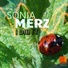 Sonia Merz
