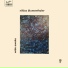 Niklas Blumenthaler