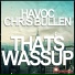 Tj Havoc & Chris Bullen