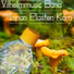 Vilhelmmusic Band