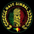 Made Gimbal