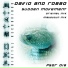 David & Robbo