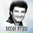 Bedri Ayseli