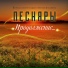 Песняры