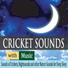 Robbins Island Music Group