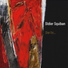 Didier Squiban