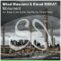 Milad Masoumi, Emad EBEAT