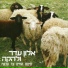 אלון עדר ולהקה