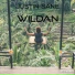 Justin-Sane