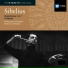 Philharmonia Orchestra, Herbert von Karajan