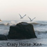 Crazy Horse