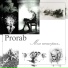 Prorab