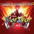 Grupo Carabo