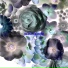 Alpines