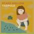 Stars Hollow