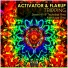 Activator, Flarup