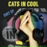 Cats in Cool