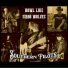 The Southern Pilots