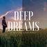 Deep Rest Maestro