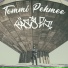 Tommi Pehmee
