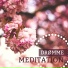 Dyb Meditation