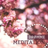 Dyb Meditation