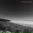 Anacharis