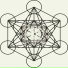 Doubutsu System