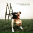 Youssef Swatt's, El Gaouli feat. Maydo