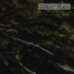 Rain Sounds