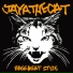 Jaya The Cat