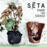 SETA