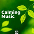 Calming Music Academy