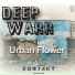 Deep Warr
