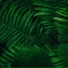 Naturaleza, Relajante Musica, Meditación Interna