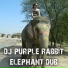DJ Purple Rabbit