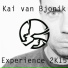 Kai van Bjonik