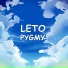 Leto