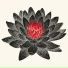 Lotus Titan