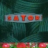 Sator