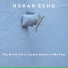 Noran Echo