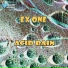 Ex One