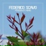Federico Scavo feat. Meme Poseidon (Original Mix)