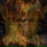 Carnation