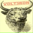 Volt3ron